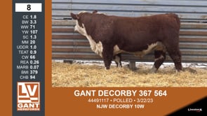 Lot #8 - GANT DECORBY 367 564