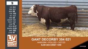 Lot #5 - GANT DECORBY 370 571