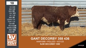 Lot #10 - GANT DECORBY 358 436