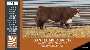 Lot #11 - GANT LEADER 307 515