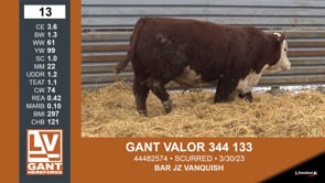 Lot #13 - GANT VALOR 344 133