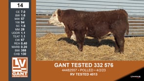 Lot #14 - GANT TESTED 332 576