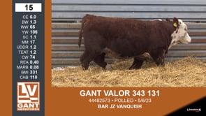 Lot #15 - GANT VALOR 343 131