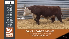 Lot #16 - GANT LEADER 305 507