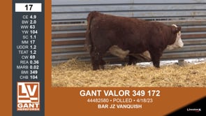 Lot #17 - GANT VALOR 349 172