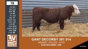 Lot #18 - GANT DECORBY 381 514