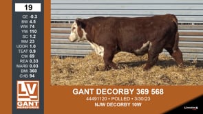 Lot #19 - GANT DECORBY 369 568