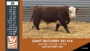 Lot #20 - GANT DECORBY 351 414