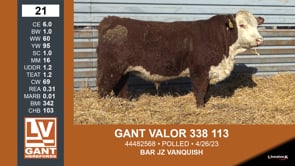 Lot #21 - GANT VALOR 338 113