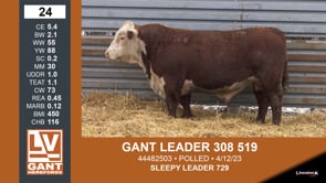 Lot #24 - GANT LEADER 308 519