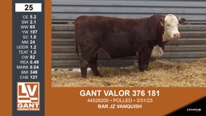 Lot #25 - GANT VALOR 376 181