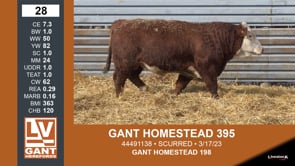 Lot #28 - GANT HOMESTEAD 395