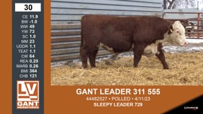 Lot #30 - GANT LEADER 311 555