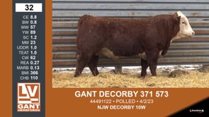 Lot #32 - GANT DECORBY 371 573