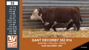 Lot #33 - GANT DECORBY 352 014