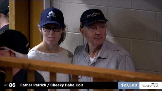 2025 National Standardbred Yearling Sale, Lots 78 - 94