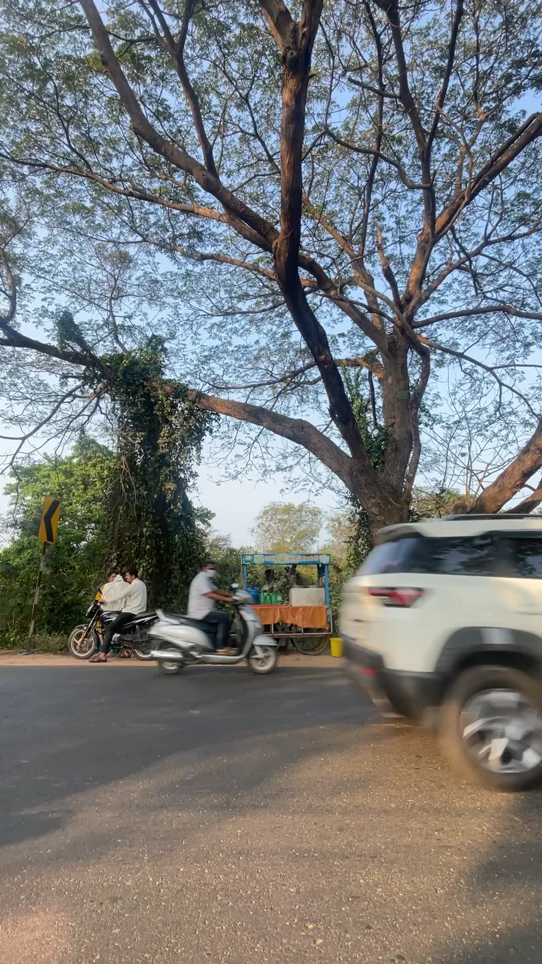 Raju's Shop, the tree and Road