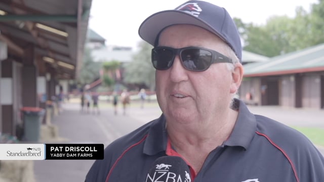 2025 National Standardbred Yearling Sale - Pat Driscoll