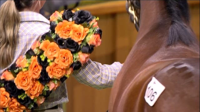 2025 National Standardbred Yearling Sale - Lot 106, $240,000