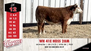 Lot #12 - WH 41E HOSS 28M