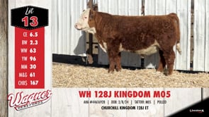 Lot #13 - WH 128J KINGDOM M05