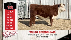 Lot #16 - WH 8G BENTON 66M