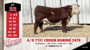 Lot #22 - 4/0 7131 CHOSEN DOMINO 2478