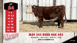Lot #24 - MAV 245 BURR OAK 445