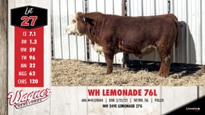 Lot #27 - WH LEMONADE 76L