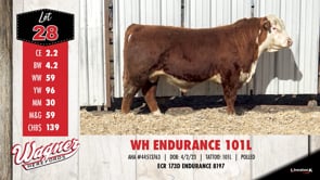 Lot #28 - WH ENDURANCE 101L