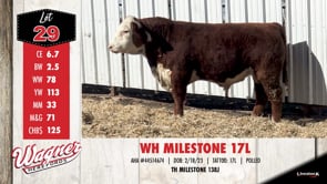 Lot #29 - WH MILESTONE 17L