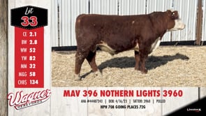Lot #33 - MAV 396 NOTHERN LIGHTS 3960