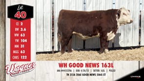 Lot #40 - WH GOOD NEWS 163L