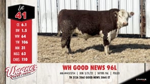 Lot #41 - WH GOOD NEWS 96L