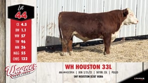 Lot #44 - WH HOUSTON 33L