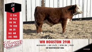 Lot #1 - WH HOUSTON 29M