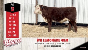 Lot #2 - WH LEMONADE 48M