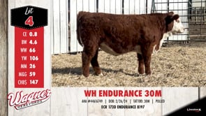 Lot #4 - WH ENDURANCE 30M