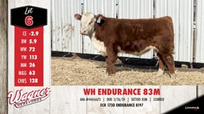 Lot #6 - WH ENDURANCE 83M