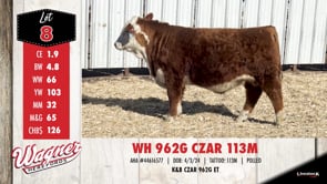 Lot #8 - WH 962G CZAR 113M