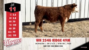 Lot #11 - WH 254G RIDGE 49M