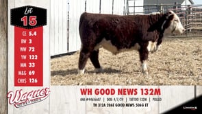 Lot #15 - WH GOOD NEWS 132M