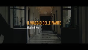 elizabeth_aro_-_il_viaggio_delle_piante_-_art_site_fest_2024 (1080p)