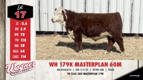 Lot #17 - WH 179K MASTERPLAN 60M
