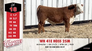 Lot #18 - WH 41E HOSS 25M