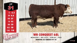 Lot #31 - WH CONQUEST 68L