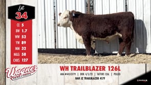Lot #34 - WH TRAILBLAZER 126L