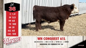 Lot #36 - WH CONQUEST 61L