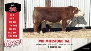 Lot #38 - WH MILESTONE 16L