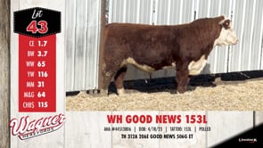 Lot #43 - WH GOOD NEWS 153L
